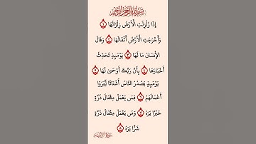 القرآن الكريم سورة الزلزلة ماهر المعيقلي #القرآن_الكريم #راحة_نفسية #اطمئن