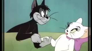 15.Tom and Jerry - Casanova Cat