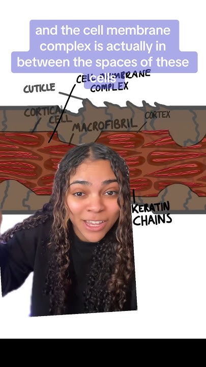 does-air-drying-your-hair-cause-more-damage-than-blow-drying