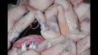Brain Chatter (textile-based stop motion animation)