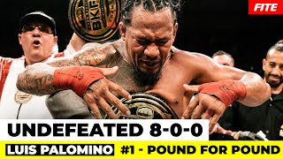Explosive Knockouts and Unmatched Dominance: The Rise of Luis Palomino in BKFC #poundforpound