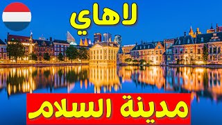 ماذا تعرف عن مدينة لاهاي Den Haag؟ السياحة في هولندا 🇳🇱