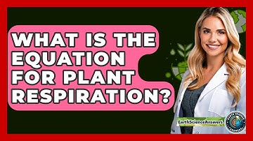 What Is The Equation For Plant Respiration? - Earth Science Answers