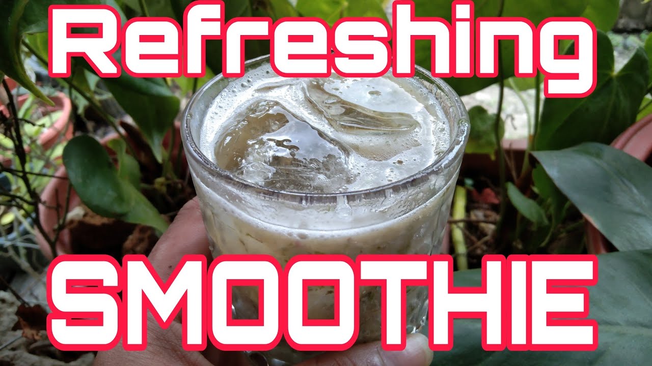 HOW TO MAKE A HOMEMADE Refreshing Smoothie from the GARDEN  by BHING - Gardening