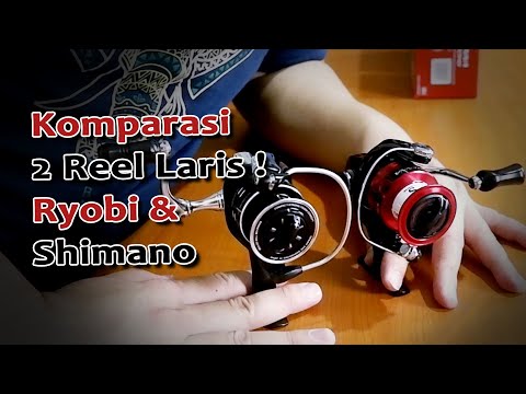 Video: Apakah Ryobi memiliki garansi seumur hidup?