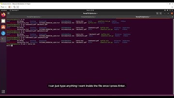 DAT 10903: OPERATING SYSTEM | LAB 3 - DIRECTORY STRUCTURE | SEMESTER 1 2025/26
