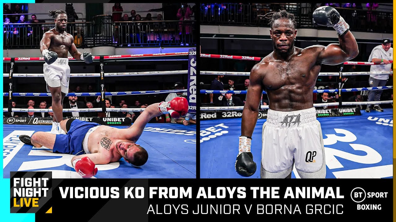 Brilliant fight ends in BRUTAL knockout! Aloys Junior v Borna Grcic Full Fight Replay Boxing