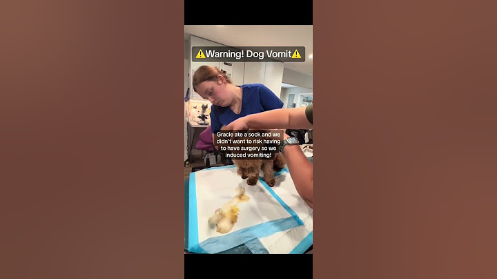 The dog was sick#funny #dog #pet #dogcat#dogshorts #dog#doglover#doglife