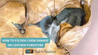 Repair Giant Dog Chew Hole in Leather Furniture &amp; Upholstery