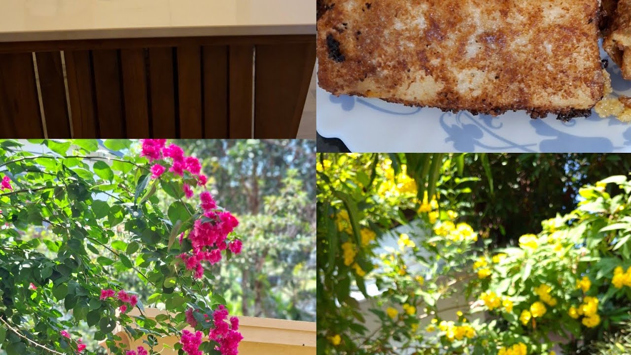 എന്റെ ഇഷ്ട്ടപ്പെട്ട സമയം -വൈകുന്നേരത്തെ വിശേഷങ്ങൾ കാണാം 