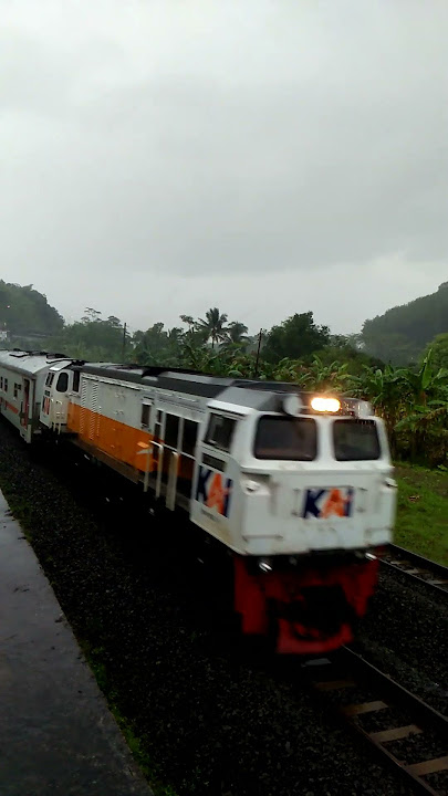 suara klakson cc206 si puongs