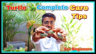 Beginners Turtle Complete Care Tips (A to Z) All in 1 Video