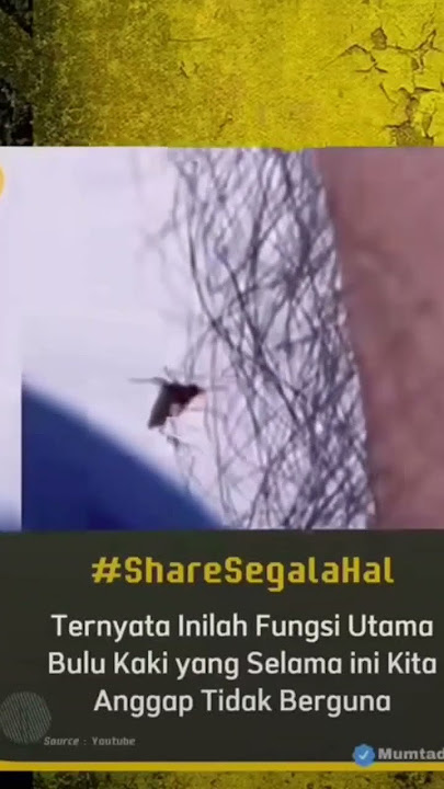 ternyata ini fungsi bulu kaki😂😂#short #trending #viral #subscribe #funny #funnyvideo #fyp #reels