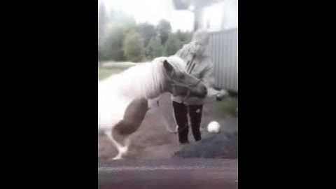 Video clip  (Created with @Magisto)