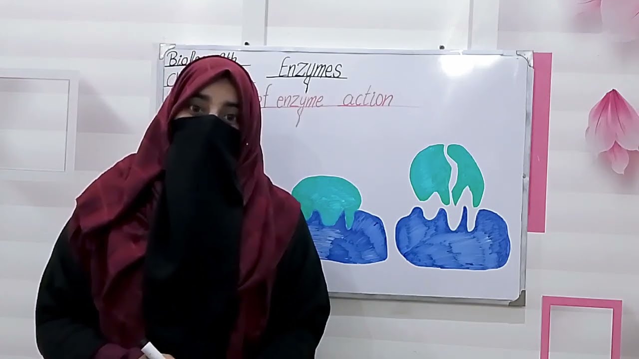 Mechanism of Enzyme Action | Lock & Key and Induced Fit Model | Biology 