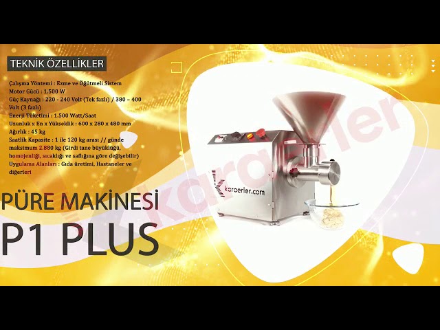 Puree Machine P1 Plus