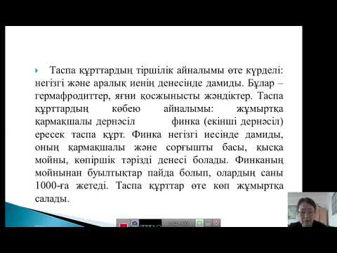 Бейне: Ай құрттары туралы жалпы ақпарат - Айқұс папоротниктерін қалай өсіру керек