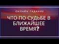 ЧТО ПО СУДЬБЕ В БЛИЖАЙШЕЕ ВРЕМЯ? ОНЛАЙН ГАДАНИЕ ТАРО