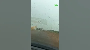 صبا صبا خريف Shorts 