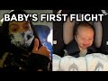 WE ARE MOVING AWAY FROM HAWAII (Lennon&#39;s first flight)