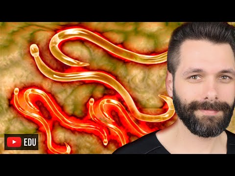 PARASITA MONOXENO E HETEROXENO - Ciclo de vida | BIOLOGIA COM SAMUEL CUNHA