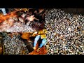 Amazing process of manufacturing hex bolts | Stainless Bolts factory | Bolt manufacturing factory