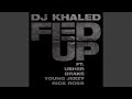 Fed Up (feat. Lil Wayne, Usher, Drake, Young Jeezy, Rick Ross)