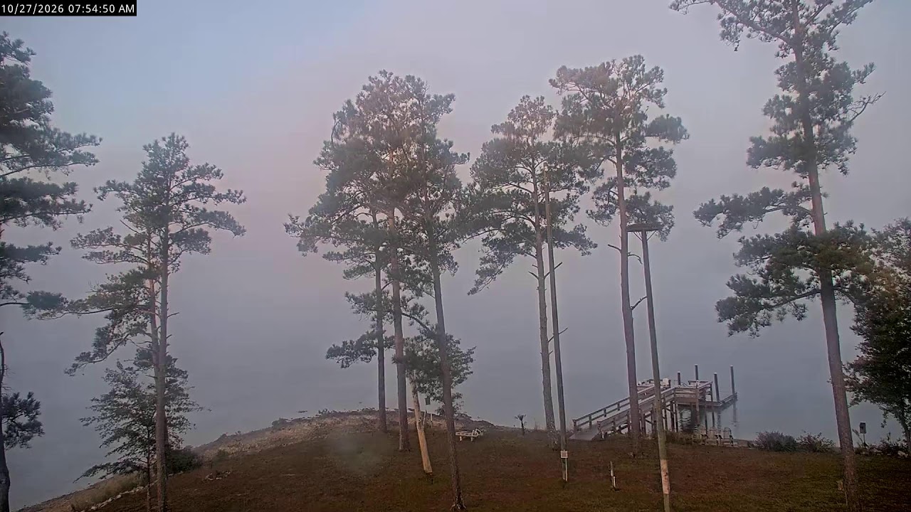 Lake Murray Osprey Live Cam 2 — Irmo, SC live camera thumbnail