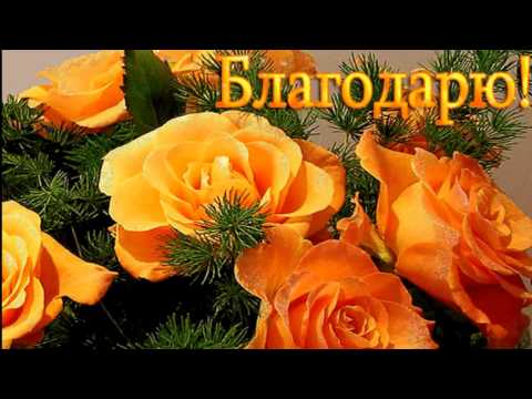 Друзья мои! Спасибо за поздравления! Друзья мои! Спасибо за поздравления!