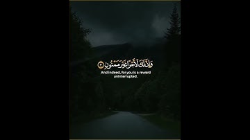 سورة القلم سالم الرويلي