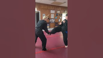 Mantis Blocking Drill #martialart #kungfu #mantis