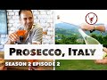 Learn sparkling wine food  culture in prosecco italy  v is for vino wine show episode 202