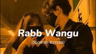 Rabb Wangu Slowed and Reverb Song || Lofi Music ||