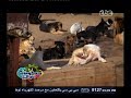 #حكومة_نص_الليل الحلقة السادسة والثلاثون