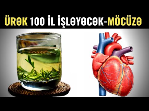 Video: Meşələrin təbiətdəki bioloji rolu