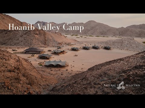 Hoanib Valley Camp - Luxury Safari Camp in the heart of the desert. Natural Selection Travel