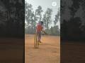 Off side cricket shot || #shorts