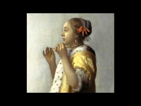Vídeo: Descripció i fotos del Museu d'Art Mauritshuis - Països Baixos: La Haia