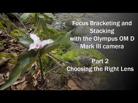 Focus Bracketing and Stacking with the Olympus OM D Mark III camera Part 2 CHOOSING THE RIGHT LENS