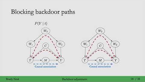 4.6 - The Backdoor Adjustment