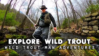 Fly Fish & Explore PA Wilds for Native Trout  Amazing Discoveries