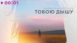 Бабек Мамедрзаев - Тобою дышу | Official Audio | 2024