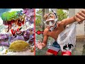 CATCHING LIVE CREATURES TO FEED MANTIS SHRIMP!! *epic*