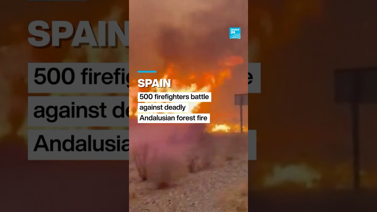 Spain: Deadly wildfire roars through southern Spain • FRANCE 24 English
