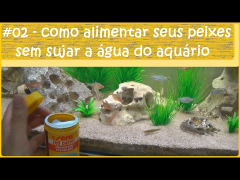 Vídeo: Como Tratar Peixes De Aquário