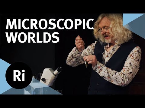 The World Under a Microscope - with Marty Jopson