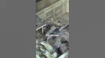 Fish skinning machine #seafoodprocessing #fillet #fishprocessing #machine #seafoodprep