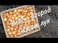 Влог - огород. Сажаю лук. Болталка.