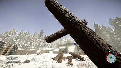 Sons Of The Forest - Infinite Log Glitch