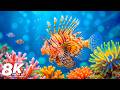 Aquarium 8K Ultra HD – Colorful Tropical Fish &amp; Coral Reefs with Relaxing Sleep Music